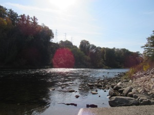 A combination of nature and humanity, the Muskegon River downstream of Hardy Dam with big power lines clearly visible.